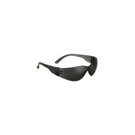 LUNETTES AVEC VERRES POLICAR. UV FUMÉ