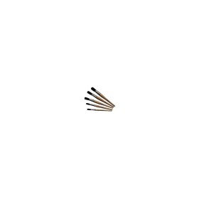 BROSSE MOINEAU ROUGE 10