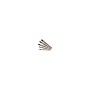 BROSSE MOINEAU ROUGE 10