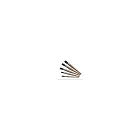 BROSSE MOINEAU ROUGE 12